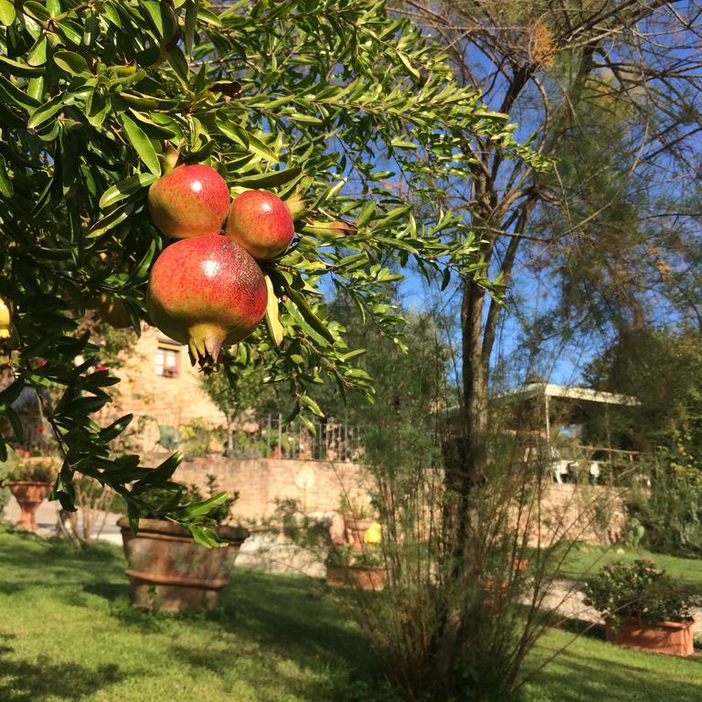 Podere Il Pero Сиена Экстерьер фото
